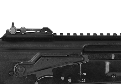 Dust cover with a Picatinny rail